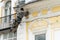 Fragment of the restoration of an old house. Climber plastering cracks on the facade of a retro building. Unrecognizable person.