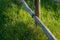 Fragment of rustic log fence and fresh grass