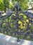 Fragment of a shod fencing around a monument to Adam Mickiewicz. Warsaw, Poland