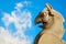 Fragment of stone column sculpture of a Griffin in Persepolis against a blue sky with clouds. Ancient Achaemenid Kingdom. Iran.