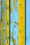 Fragment of wooden fence with cracked yellow and blue paint