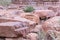 Fragments of columns remaining from the time of the Roman Empire in Petra. Near Wadi Musa city in Jordan