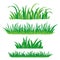 Fragments of green grass. Set of design elements of nature. Vector illustration