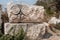 Fragments of sculptures and bas-reliefs of the Greco-Roman theatre