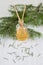 Fragrance coniferous sticks or Scent diffuser