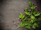 Fragrant fresh parsley and dill arranged on a diagonal dark background.