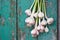 Fragrant garlic on a vintage background