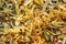 Fragrant herbal tea. Natural natural dry leaves. Macro image. Collection