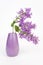 Fragrant Lilac Sprigs in Lavender Vase