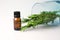 fragrant medicinal evergreen rosemary on a light background with a transparent glass and a jar of hair oil. medical