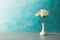 Fragrant peonies in vase on table against color background. Beautiful spring flowers