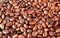 Fragrant, roasted coffee beans, top view, background from coffee beans