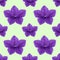 Fragrant tobacco. Seamless pattern texture of flowers. Floral ba