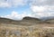 Frailejones, stone mountain and Andes Mountains on Sumapaz Paramo