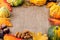 Frame of autumn decoration mini pumpkins