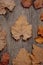 Frame of autumn leaves on a wooden background. Calm shades, weird, dusty color. Top view, flat lay