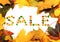 Frame of autumn multicolor maple-leafs with word SALE