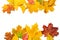 Frame of autumn yellow leaves on white isolated background. Concept table of contents top and bottom letters. mock-up