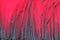 Frame of black feathers on a red background. Emo style frame made of boa feather scarf isolated on red. exotic soft beautiful bl