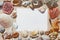 Frame blank space made of colorful beautiful natural seashells on sand background on sea side shore