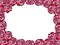 Frame of burgundy roses. Transparent background.