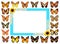 Frame butterflies isolated background