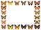 Frame butterflies isolated background