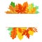 Frame with colored autumn leaves for a bright, seasonal design,