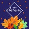 Frame with colored autumn leaves for a bright, seasonal design,