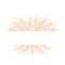 Frame with dry pampas grass. Border with beige cortaderia in boho style. Vector dried flowers isolated on white