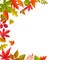 Frame fallen leaves, vector autumn foliage border