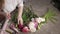 In the frame, female hands with a good manicure, and flowers for a bouquet.