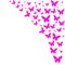 Frame formed by pink butterflies silhouettes