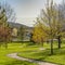 Frame Frame Square Pathway winding through a terrain with rich green grasses and young trees