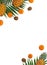 Frame of fresh tropic fruits orange mandarines, green kiwi, pineapples on palm tree leaf on white background with space for text.