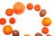 Frame of fruits orange kiwi grapefruit and mandarin white background, copy space for text