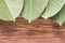 Frame of green leaves on the brown wooden background. Ficus leaf on wooden table.