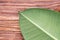 Frame of green leaves on the brown wooden background. Top view.