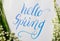 frame lily of the Valley and text Hello spring. Calligraphy lettering