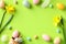 Frame made of colorful Easter eggs, daffodil spring flowers on green background. Flat lay,