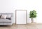 frame mock up in modern interior, gray sofa and green plant in living room