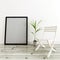 Frame, Potted Plant and White Chair in Modern Home