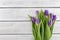 Frame of purpleviolet tulips on white rustic wooden background