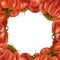 Frame of red ripe tomatoes of different varieties. Digital illustration on a white background. For packaging design, postcards,