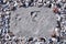 Frame of sea shells in the cold Scandinavian style and the imprint of human feet on the sand