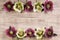 Frame spring flowers lenten rose in a row on light brown rustic background. Copy space