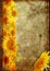 Frame from sunflower grunge