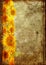 Frame from sunflower grunge