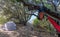 A-Frame tent set up in forested area