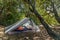 A-Frame tent set up in forested area